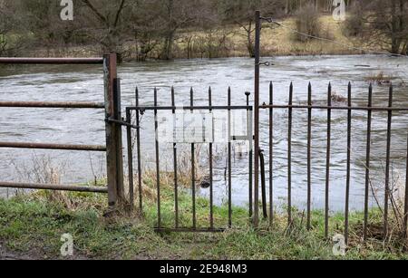 Fiume inondato Wye sulla tenuta di Haddon a Bakewell nel Parco nazionale del Derbyshire Peak District Foto Stock