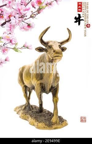 Tradizione cinese Golden statue ox, 2021 è l'anno del bue, cinese caratteri traduzione: 'Ox'.Rightside cinese formulazione e sigillo media: Cinese calenda Foto Stock