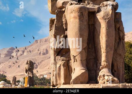 Egitto, Luxor, Cisgiordania, Colossi di statue di pietra massicce Memnon Foto Stock