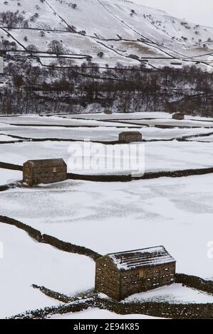 Una vista sui prati di fieno e fienili di campo di Gunnerside, Swaledale, Yorkshire Dales National Park, coperto di neve in inverno Foto Stock