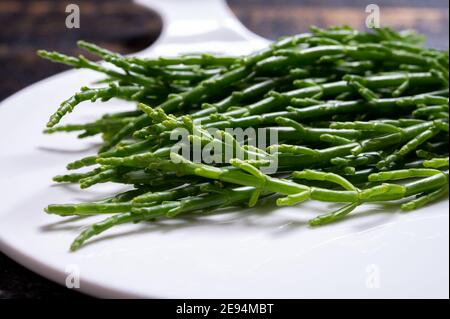 Gustosi piatti di mare vegetariani, salicornia verde cruda fresca o glasswort, alghe da vicino Foto Stock