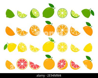 Agrumi freschi interi e metà di lime, limone, pompelmo e arancio. Grande raccolta di frutta illustrazione vettoriale isolato su bianco Illustrazione Vettoriale