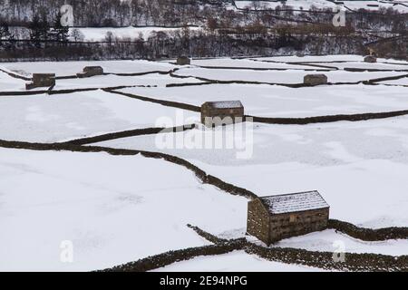 Una vista sui prati di fieno e fienili di campo di Gunnerside, Swaledale, Yorkshire Dales National Park, coperto di neve in inverno Foto Stock