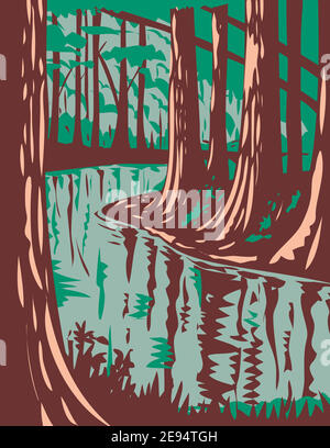 WPA poster art di Cedar Creek, un torrente blackwater che attraversa il Congaree National Park nel centro della Carolina del Sud, Stati Uniti in opere proj Illustrazione Vettoriale