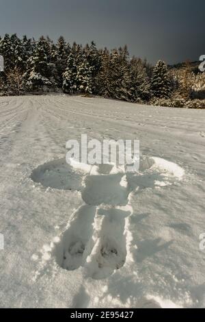 Angelo di neve nella neve fresca. Traccia dal corpo umano adulto in inverno Landscape.Print di copia corpo space.Crime scena in natura, forma di neve corpo Foto Stock