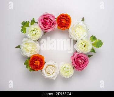 Layout creativo di bellissimi fiori di rosa su sfondo bianco. Concetto di vacanza minimo. Foto Stock