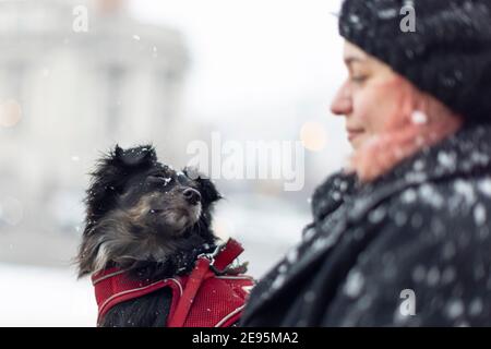Una ragazza guarda il suo cane durante la neve pesante, Windrush Square, Brixton, Londra, 24 gennaio 2021 Foto Stock