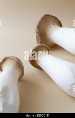 Funghi Eringi su sfondo pastello. Pleurotus eringi. Concetto di cibo vegano. Primo piano. Orientamento verticale. Foto Stock