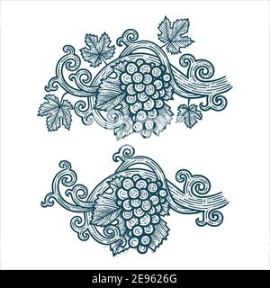 Grappolo d'uva, vite e foglie. Illustrazione vettoriale disegnata a mano in stile vintage Grapevine. Parte del set. Illustrazione Vettoriale