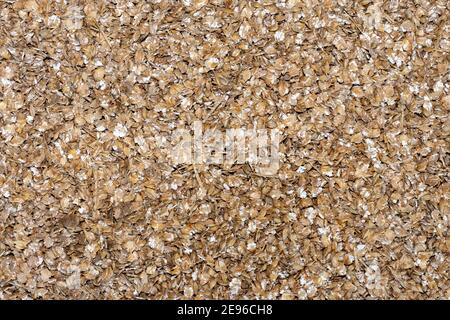 Primo piano di orzo macinato (hordeum vulgare) Foto Stock