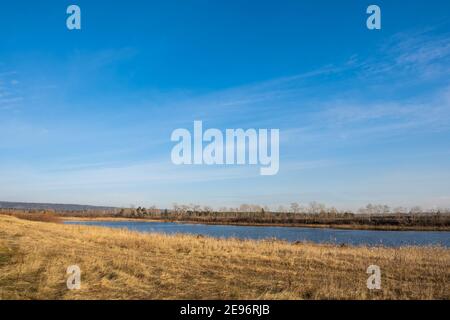 Pittoresco paesaggio autunnale. Un campo con erba gialla, un cielo blu con nuvole chiare e un piccolo lago. Dorati, colori autunnali brillanti. Foto Stock