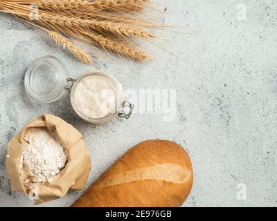 Antipasto di pasta di grano. Vista dall'alto degli ingredienti per la preparazione del pane - vaso in vetro con antipasto di pasta acida, farina in sacchetto di carta, baton e orecchie su fondo grigio di cemento. Spazio di copia per testo o disegno. Foto Stock