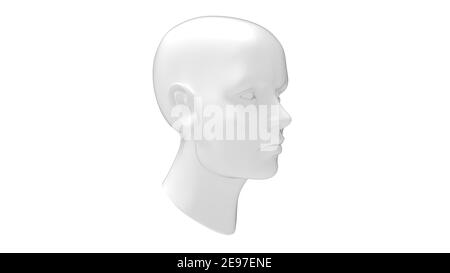 Manichino testa manichino isolato Foto stock - Alamy