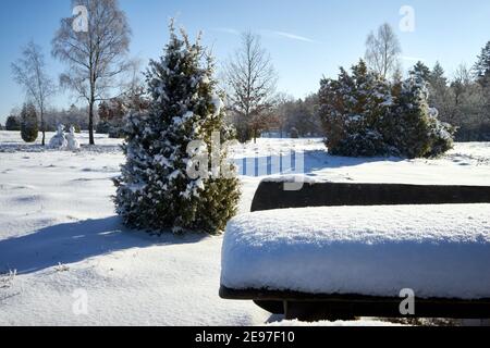 Vista del paesaggio di brughiera con birches e cespugli di ginepro da un gruppo di tavoli ricoperti di neve Foto Stock