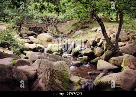 Burbage Brook a Padley Gorge, High Peak, Derbyshire, Regno Unito Foto Stock