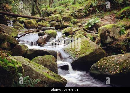 Cascate di Burbage Brook in Padley Gorge, High Peak, Derbyshire, Regno Unito Foto Stock