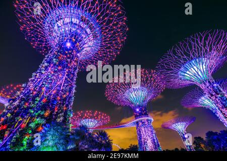 Singapore - 29 Aprile 2018: Supertree Grove a Gardens by the Bay durante lo spettacolo di luci con luci viola, indaco e rosse nel centro di Singapore, Marina Foto Stock