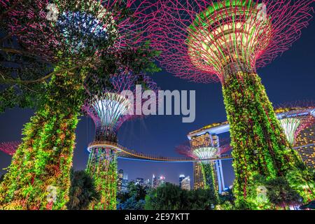 Singapore - 30 Aprile 2018: Spettacoli di luci e suoni di Garden Rhapsody su Supertree Grove con OCBC Skyway a Gardens by the Bay. Marina Bay Sands on Foto Stock