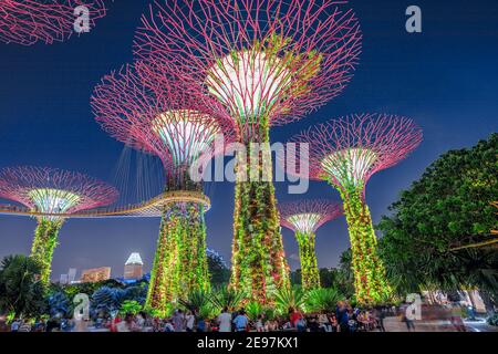 Singapore - 29 aprile 2018: Panorama di Supertree Grove con ponte sopraelevato a Gardens by the Bay illuminato all'ora blu e Marina Bay Sands a Marina Foto Stock