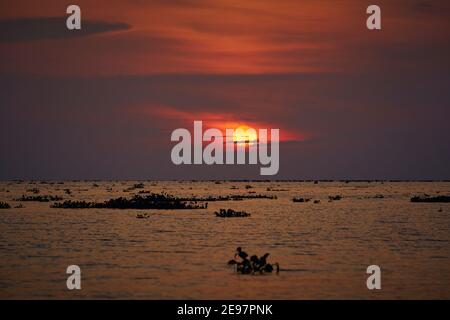 Il sole tramonta sul lago Tonlé SAP, il più grande lago d'acqua dolce del sud-est asiatico. Foto Stock