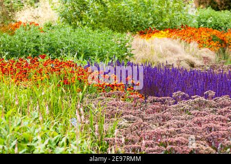 misto letto di fiori estivi, echinacea, salvia, echinops e erbe Foto Stock