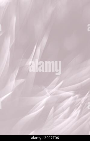 Sfondo astratto beige chiaro per banner web o elemento di design. Messa a fuoco morbida. Ritaglio verticale. Foto Stock