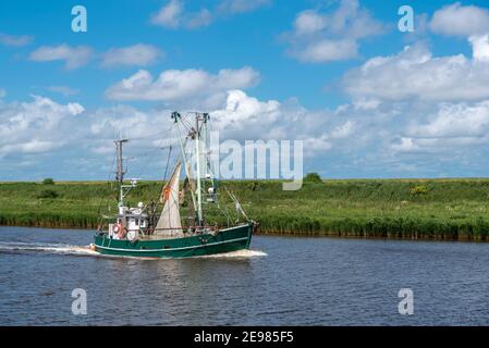 Imbarcazione per gamberetti nel Leyhoerner-Sieltief, Greetsiel, bassa Sassonia, Germania, Europa Foto Stock