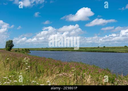 Paesaggio sul Leyhoerner-Sieltief, Greetsiel, bassa Sassonia, Germania, Europa Foto Stock