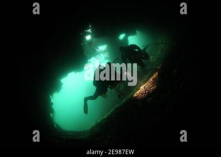 Un subacqueo illumina parte del blocco nave Tabarka in Burra Sound, Orkney, Scozia. Foto Stock