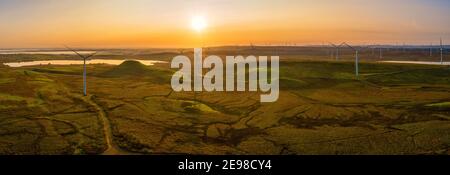 Whitelees Wind Farm, Eaglesham Moor, Glasgow, Scozia, Regno Unito Foto Stock