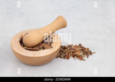 Corteccia di erbe di cascara usata in medicina di erbe per trattare la costipazione in un mortaio di legno con pestello e sciolto. Rhamnus purshiana. Foto Stock