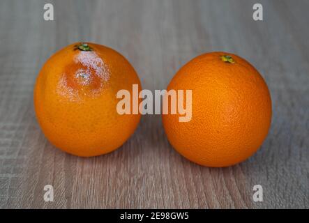 Una muffa marcio e una frutta arancione fresca su legno tabella Foto Stock