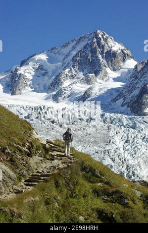 Una signora escursionista sul sentiero da lac Charamillon al Rifugio Albert Premier nelle Alpi francesi, con l'Aiguille de Chardonnet e il ghiacciaio Du To Foto Stock