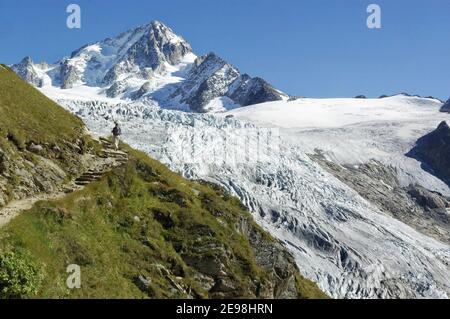 Una signora escursionista sul sentiero da lac Charamillon al Rifugio Albert Premier nelle Alpi francesi, con l'Aiguille de Chardonnet e il ghiacciaio Du To Foto Stock