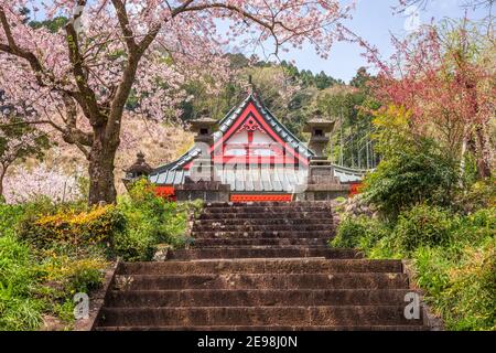Tempio Kotokuji, Shizuoka, Giappone in primavera. Foto Stock
