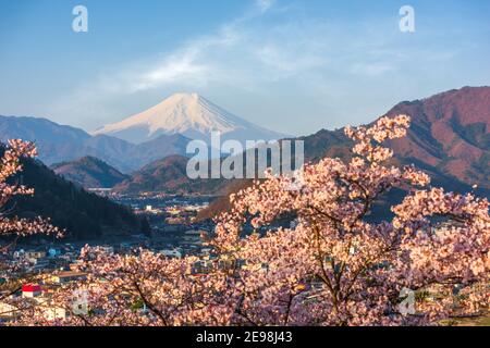 Otsuki, il paesaggio urbano del Giappone con il Monte Fuji nella stagione primaverile con fiori di ciliegio.