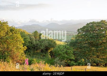 Nuvola passando sopra Moel Siabod le montagne lungo la vale Di Conwy Snowdonia in una serata estiva vicino al villaggio Di Eglwysbach Conwy Galles del Nord Foto Stock