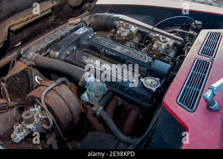 Fienile trovare Lotus Elan auto sportiva Foto Stock