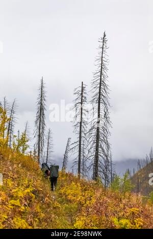 Backpackers sotto la pioggia sul sentiero del lago di Floe nel Parco Nazionale di Kootenay nelle Montagne Rocciose Canadesi, British Columbia, Canada [No model releases; Availab Foto Stock