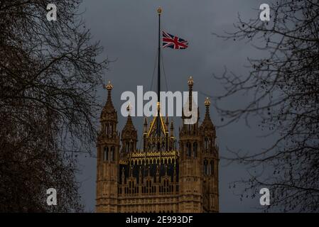 Londra, Regno Unito. 3 Feb 2021. Le bandiere sono a metà albero in tutta westminster compreso il Parlamento - tributi memoriali al compianto capitano Sir Tom Moore intorno a Londra - è morto ieri, con Covid 19, all'età di 100, che ha alzato oltre £30m per il NHS. Credit: Guy Bell/Alamy Live News Foto Stock