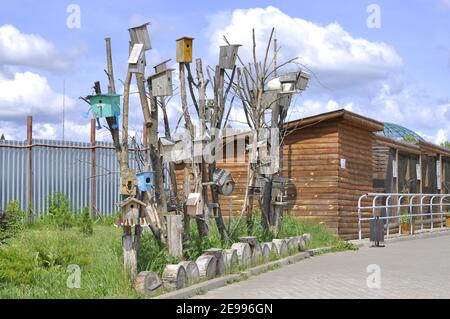 Molte forme diverse casa di uccelli per nidificazione box appeso sui tronchi di diversi alberi. Alimentatori di uccelli in parco. Foto Stock