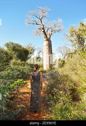 Donna che indossa un abito con motivo animale che cammina verso l'albero di baobab, vista da dietro, cespugli e erba che crescono su un terreno polveroso rosso Foto Stock