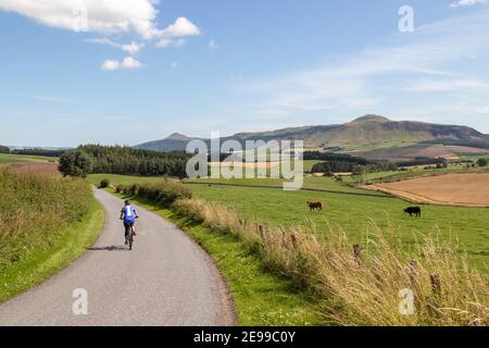 Un ciclista su una tranquilla strada di campagna a Fife, con le colline Lomond in lontananza. Foto Stock