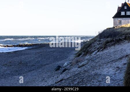 Gammel Skagen, North-Beach, Solnedgangskiosken Foto Stock