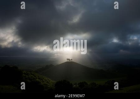Alberi di luce sulla collina sormontata da un gruppo di alberi di pino. Collina di COLMER. Dorset. REGNO UNITO. Foto Stock