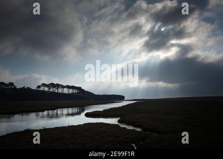 Lontra di fiume Tagliamento a Budleigh Salterton. Jurassic Coast Sito Patrimonio Mondiale. Devon. Regno Unito. Foto Stock