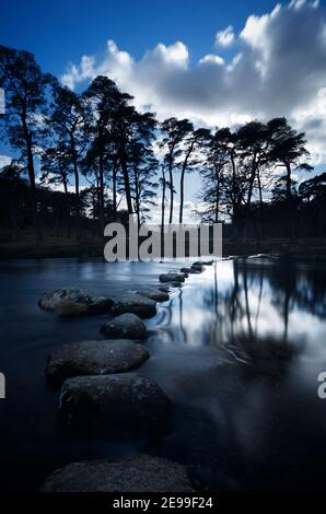 Pietre passo che attraversano il fiume West Dart. Scots Pines sulla riva opposta. Parco Nazionale di Dartmoor. Devon. REGNO UNITO. Foto Stock