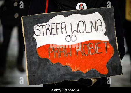 Cracovia, Malopolskie, Polonia. 1 febbraio 2021. Un cartello che mostra una mappa della Polonia e recita ''Polonia - zona libera dei diritti delle donne'' durante le manifestazioni.dopo il verdetto della Corte costituzionale polacca entrato in vigore il 27 gennaio, per attuare una delle più restrittive leggi anti-aborto in Europa, centinaia di polacchi hanno preso le strade in tutte le principali città. Le proteste sono state organizzate dallo Sciopero delle Donne. Credit: Filip Radwanski/SOPA Images/ZUMA Wire/Alamy Live News Foto Stock