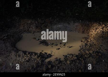 Acqua marrone scuro in una pozza fangosa. Foto Stock