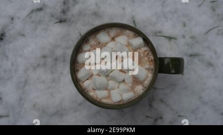 Tazza verde appoggiata sulla neve bianca con erba verde che sporge. All'interno della tazza abbiamo il cioccolato caldo con i marshmallows bianchi galleggianti. Foto Stock